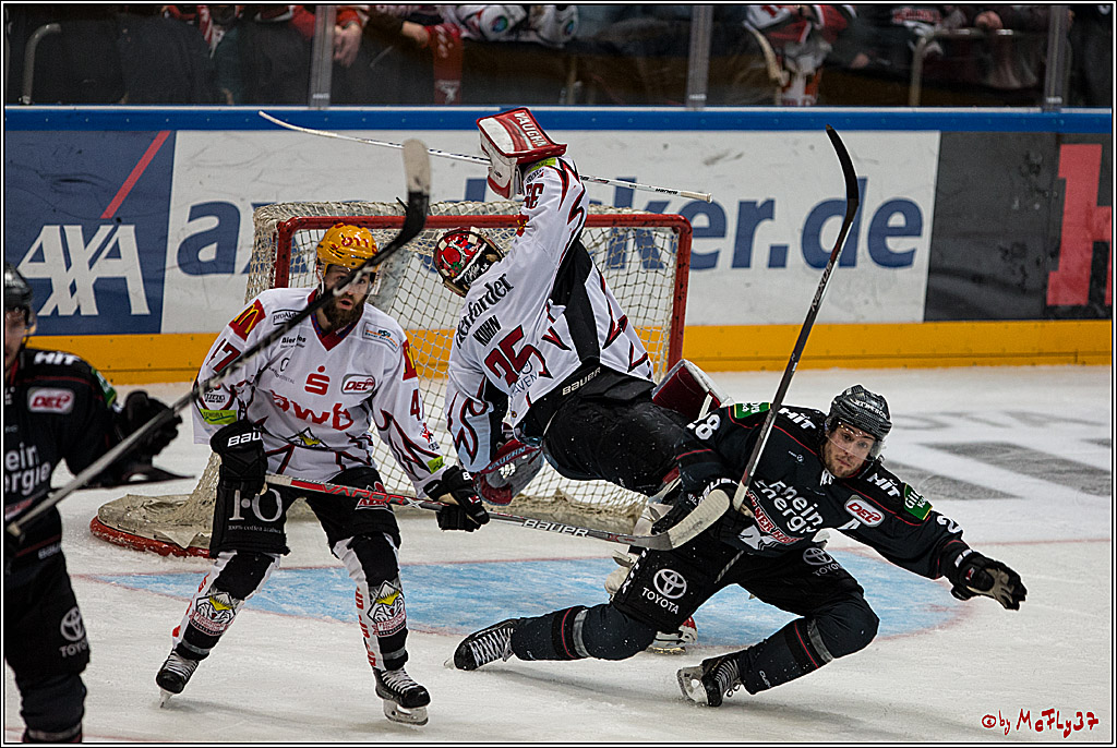 DEL, Koelner Haie - Fishtown Pinguins Bremerhaven, 29.01.2017